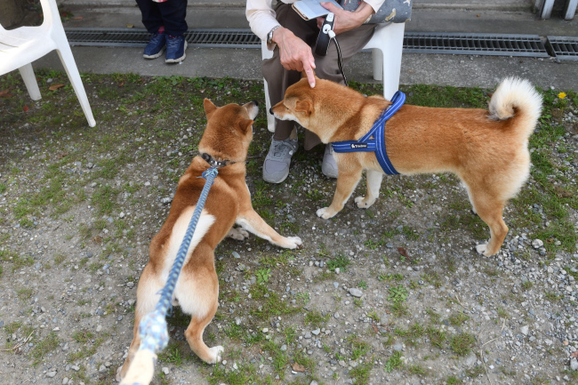 父親の菊次郎くんとの再会