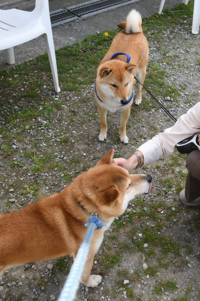 父親の菊次郎くんとの再会