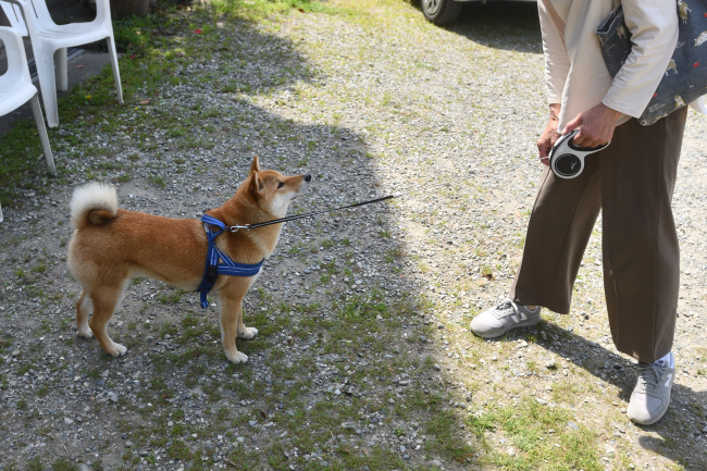 飼い主様と蒼くん