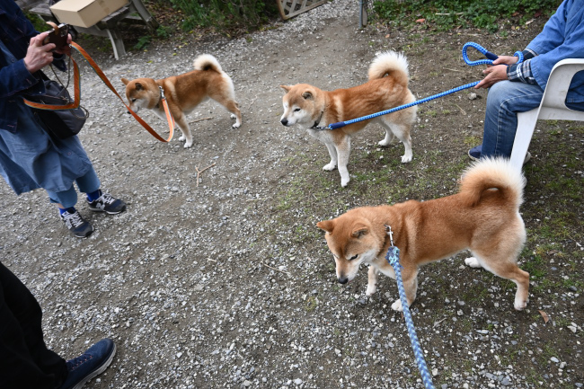 源太君、琥太郎くん、菊次郎くんの話し合い