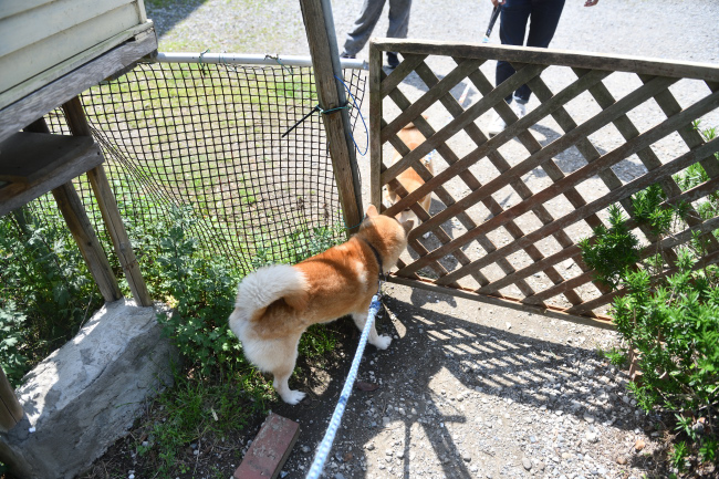 源太くんとはちみつ君
