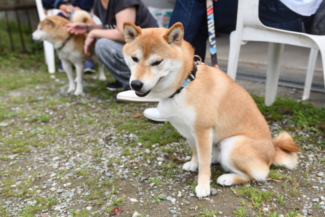 笑顔のはちみつ君