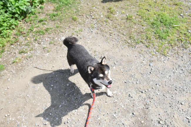 お母さんのチコちゃんもニコニコ顔