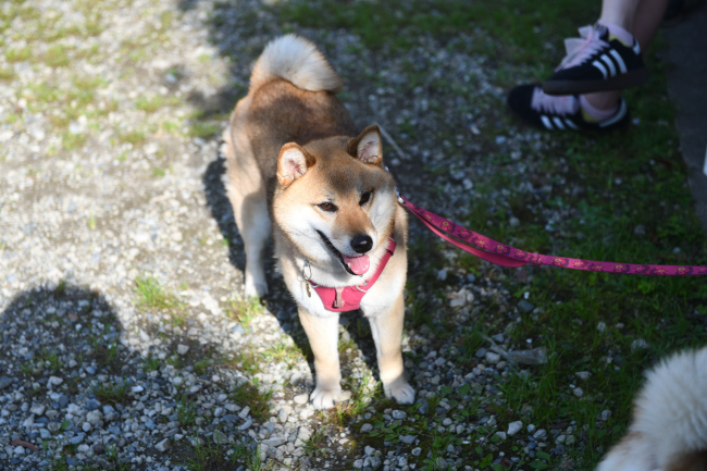 笑顔のこなつちゃん