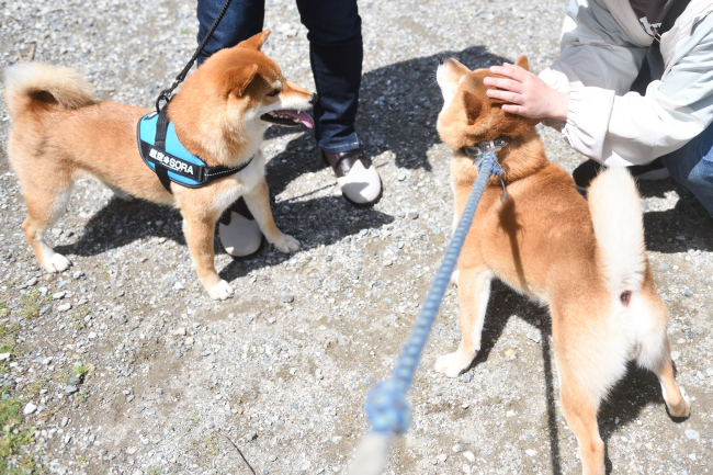 颯空くんと菊次郎くんん