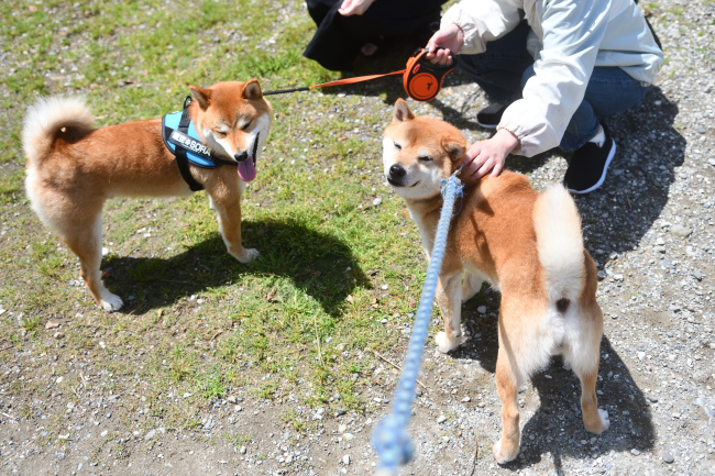 颯空くんと菊次郎くん