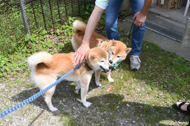 お父さんの源太くんと息子のポッケ君