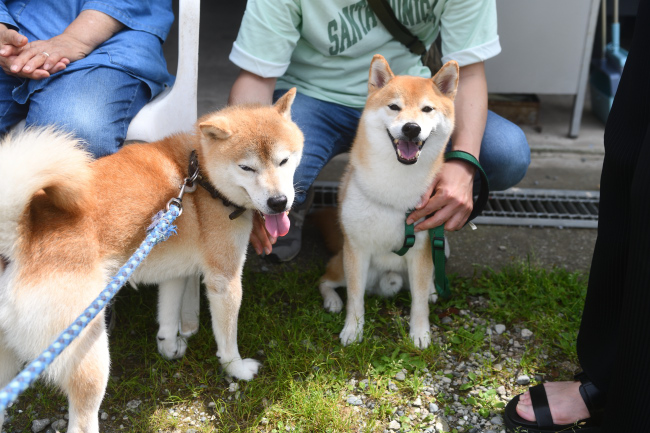 お父さんの源太くんとポッケ君のツーショット