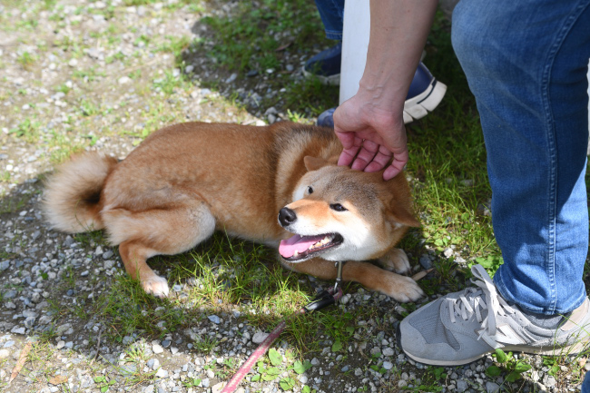 茶々は大感激です