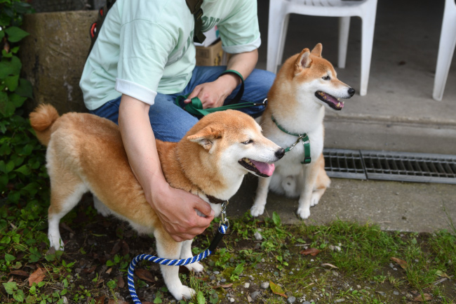 ポッケ君とムギ