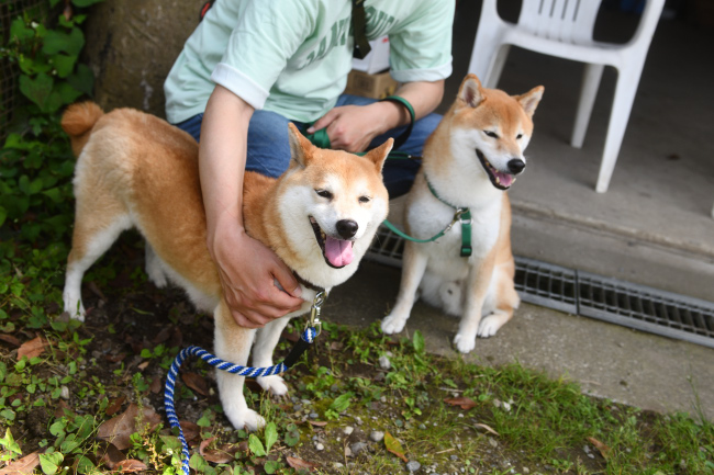 ポッケ君とムギ
