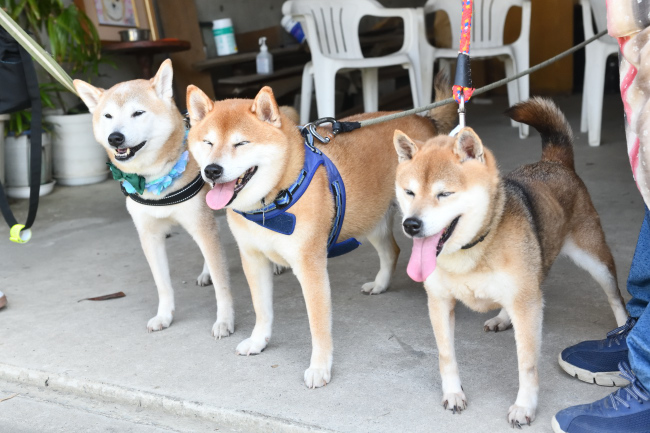 お母さんとの記念撮影