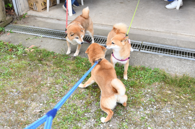 陽奈ちゃんと房ちゃん、春ちゃんの再会