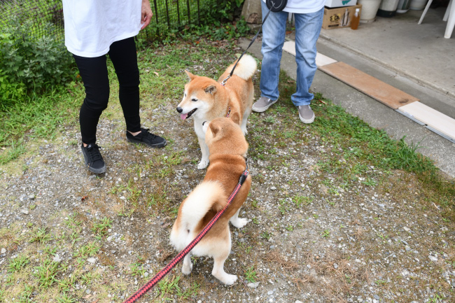 お父さんの源太くん