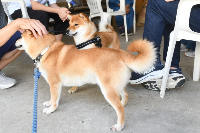 父親の菊次郎くんと海登君の再会
