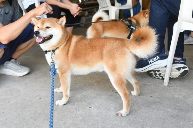 遠慮気味の菊次郎くん
