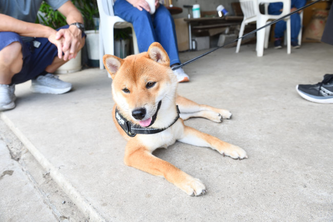 実家でくつろぐ海登君