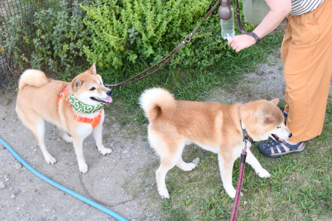 源太くんと奏太君