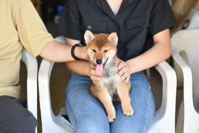 ニコニコ笑顔でお座りするぶん太くん