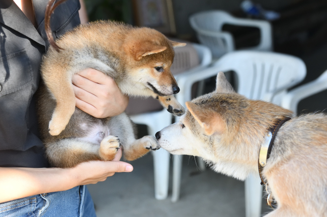 お母さんとお別れするぶん太くん
