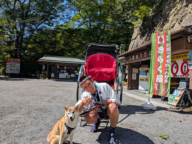 柴犬赤丸ちゃんと人力車