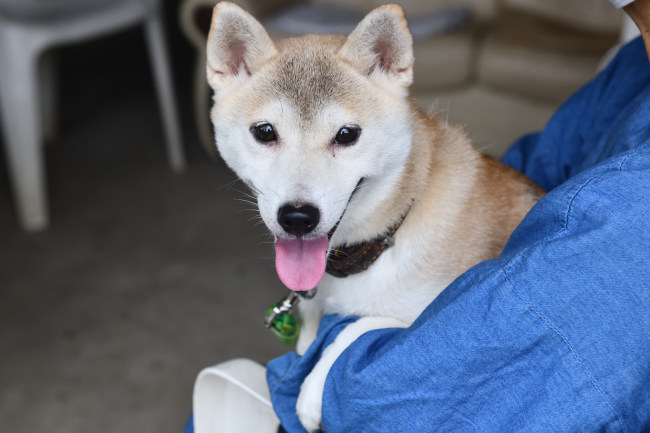 鈴蘭ちゃんのお母さんの美鈴