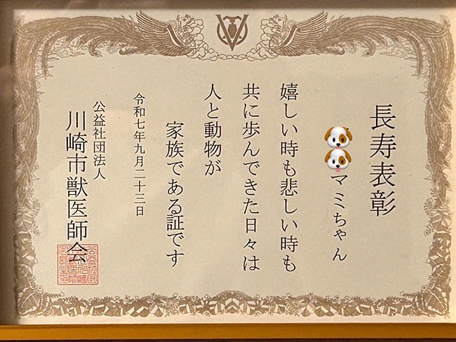 川崎銃医師会の長寿犬表彰状