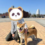 横浜ふうちゃん