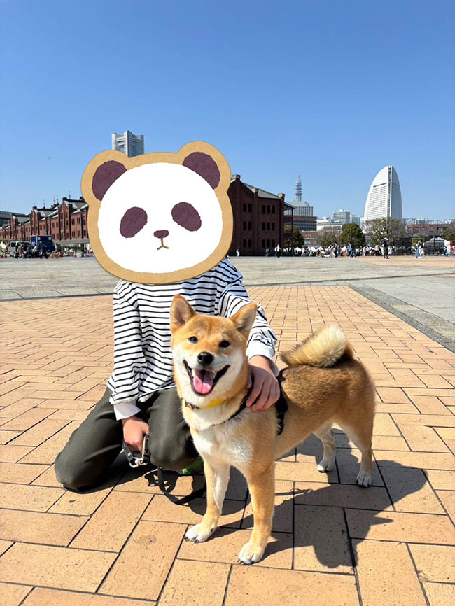 横浜ふうちゃん