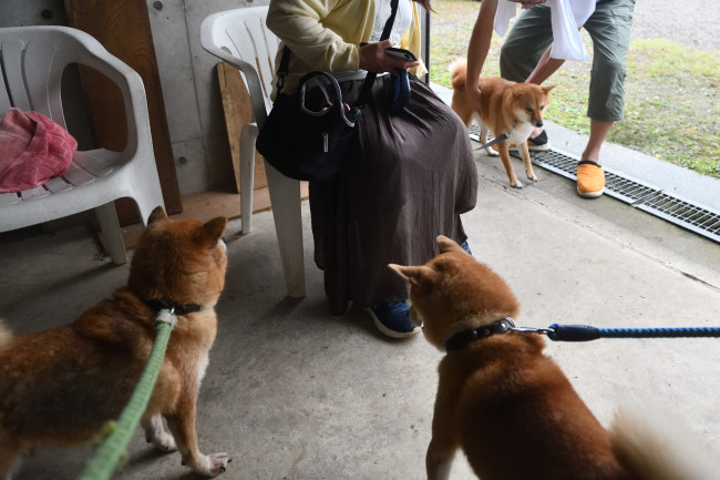 両親と楓ちゃん