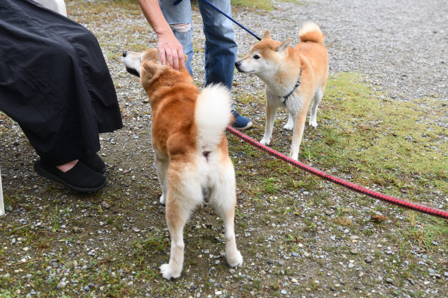 源太くんと塁君