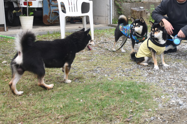 お父さんの二郎君と娘たち