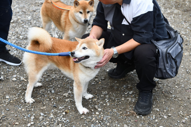 源太くんと琥太郎くん