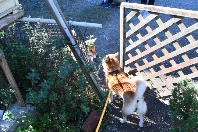 お母さんと久しぶりの再会