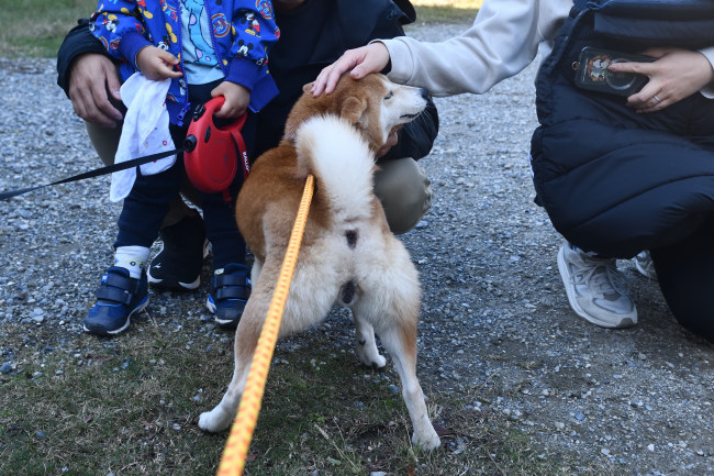 お母さんと久しぶりの再会