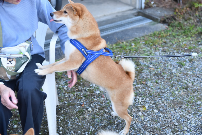 蒼くんと飼い主様