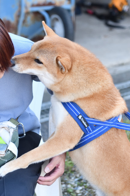 蒼くんと飼い主様
