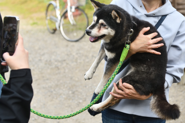 大我くんの飼い主様に抱っこされる雪菜
