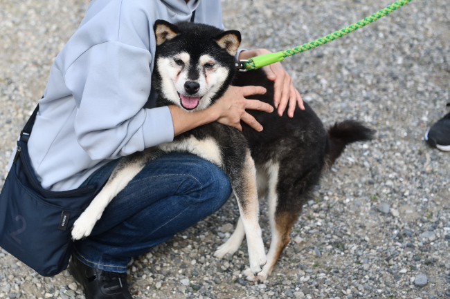 大我くんの飼い主様に抱っこされる雪菜