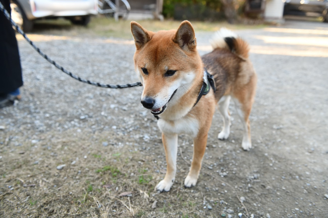 ご機嫌が戻ったもぐら君