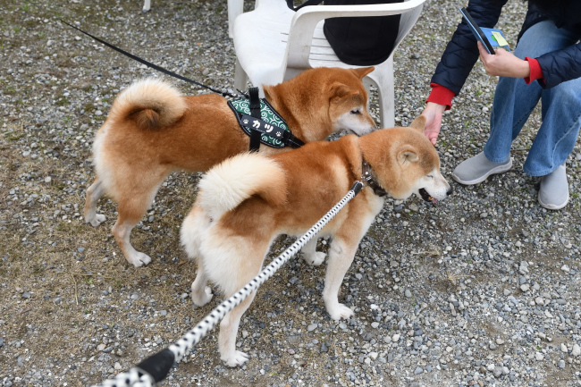 源太くんとカツくん