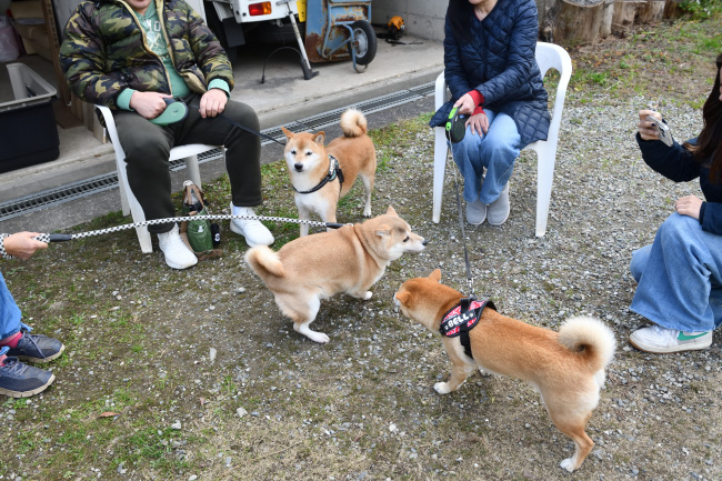 お母さんの紅里とベルちゃん