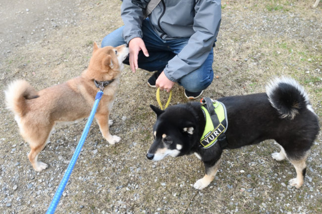 お母さんの春ちゃんと結鈴ちゃん