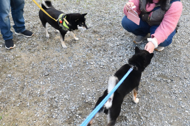 お父さんの二郎君と結鈴ちゃん