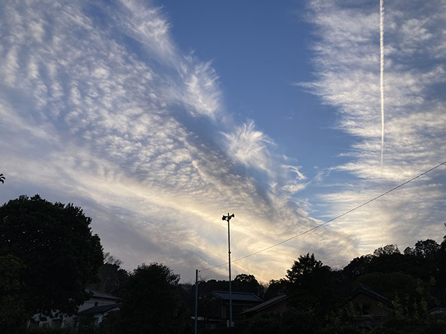 2025年12月31日の袖ケ浦の空