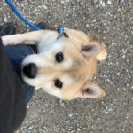 ポケットの中のおやつに気が付いた紅里