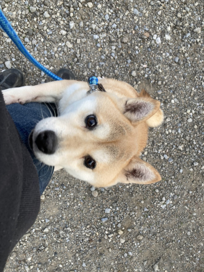 ポケットの中のおやつに気が付いた紅里