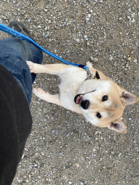 ポケットの中のおやつに気が付いた紅里