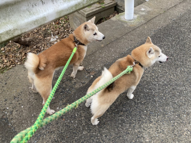 赤柴美里と紅里母娘