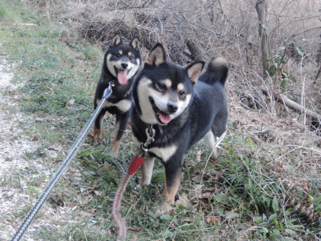 雪菜と唯ちゃん